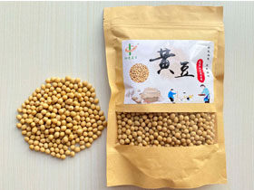 黃豆