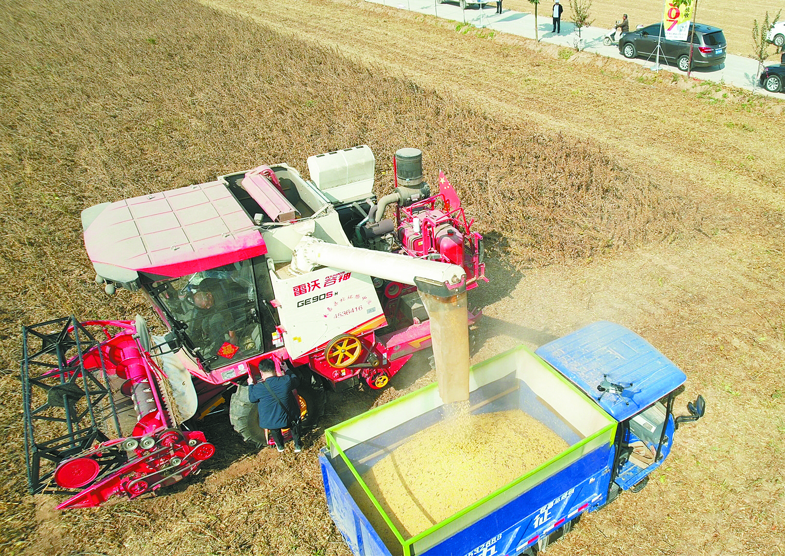 怎樣進(jìn)行大豆收獲？